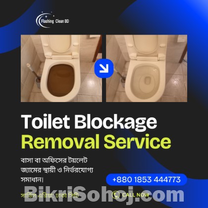 ধানমন্ডি টয়লেট জ্যাম সার্ভিস | Toilet Blockage Removal BD